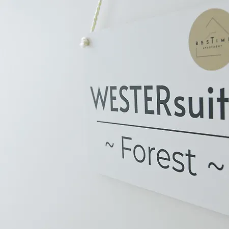 Westersuites - Forest - 3br Zentral Balkone Wlan 7 Betten Waschtrockner Bremen